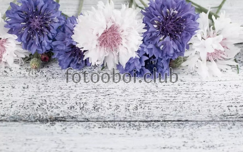 доски, цветы, букет, 3д, 3d